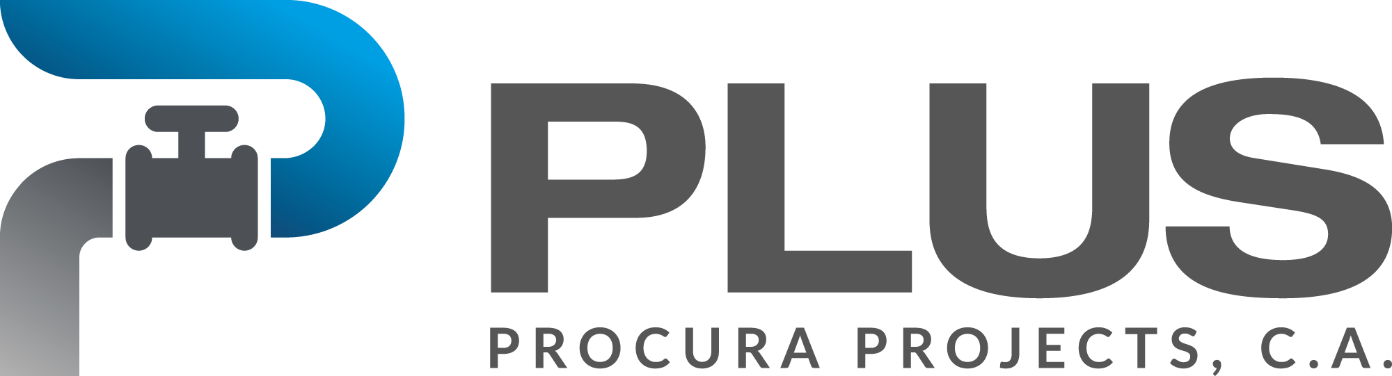 PLUS PROCURA PROJECTS Logo